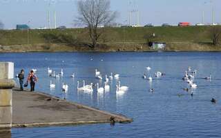 Апартаменты One-Bedroom Apartment Apartment on Sovetskaya Брест Апартаменты с 1 спальней (для 5 взрослых)-13