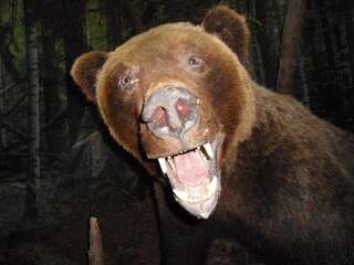 Апартаменты One-Bedroom Apartment Apartment on Sovetskaya Брест Апартаменты с 1 спальней (для 5 взрослых)-43